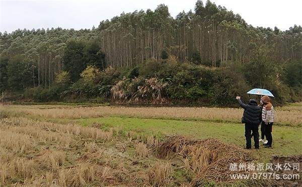 甘孜藏族自治州陈老师带着爱徒寻龙点穴