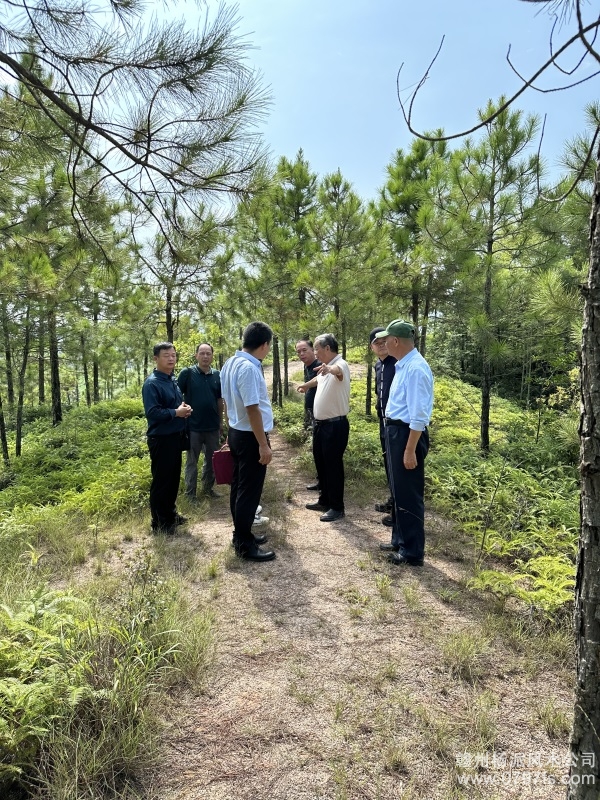 甘孜藏族自治州学杨公风水跟陈荣昌老师实在